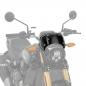 Preview: LOW WIND DEFLECTOR WITH HEADLIGHT COWL - FTR 1200