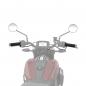 Preview: INDIAN HEIZGRIFFE - FTR 1200