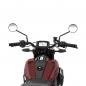 Preview: INDIAN HEIZGRIFFE - FTR 1200