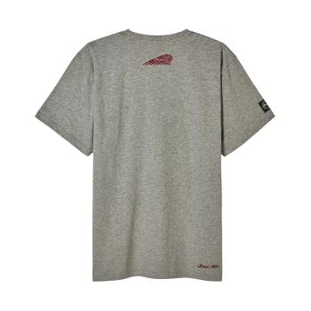 Preview: MENS FLAG BIKES PRINT T-SHIRT - GRAY