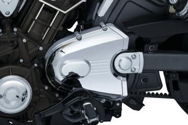 Legacy Swingarm Pivot Accent - Indian Scout