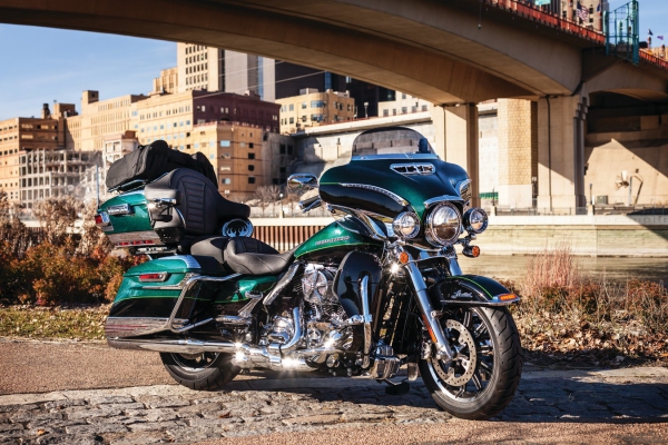 Momentum Hitchhiker Trunk Rack Bag