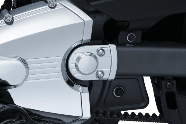 Legacy Swingarm Pivot Accent - Indian Scout