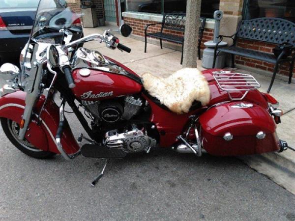 Motherwell Solo Rack flach + abnehmbar - Indian Chieftain - Chrom